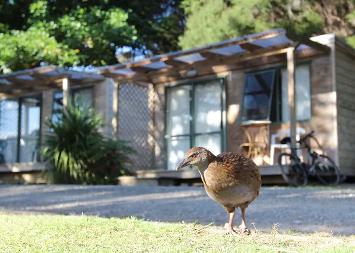 Pet Friendly hotel: Russell-Orongo Bay Holiday Park